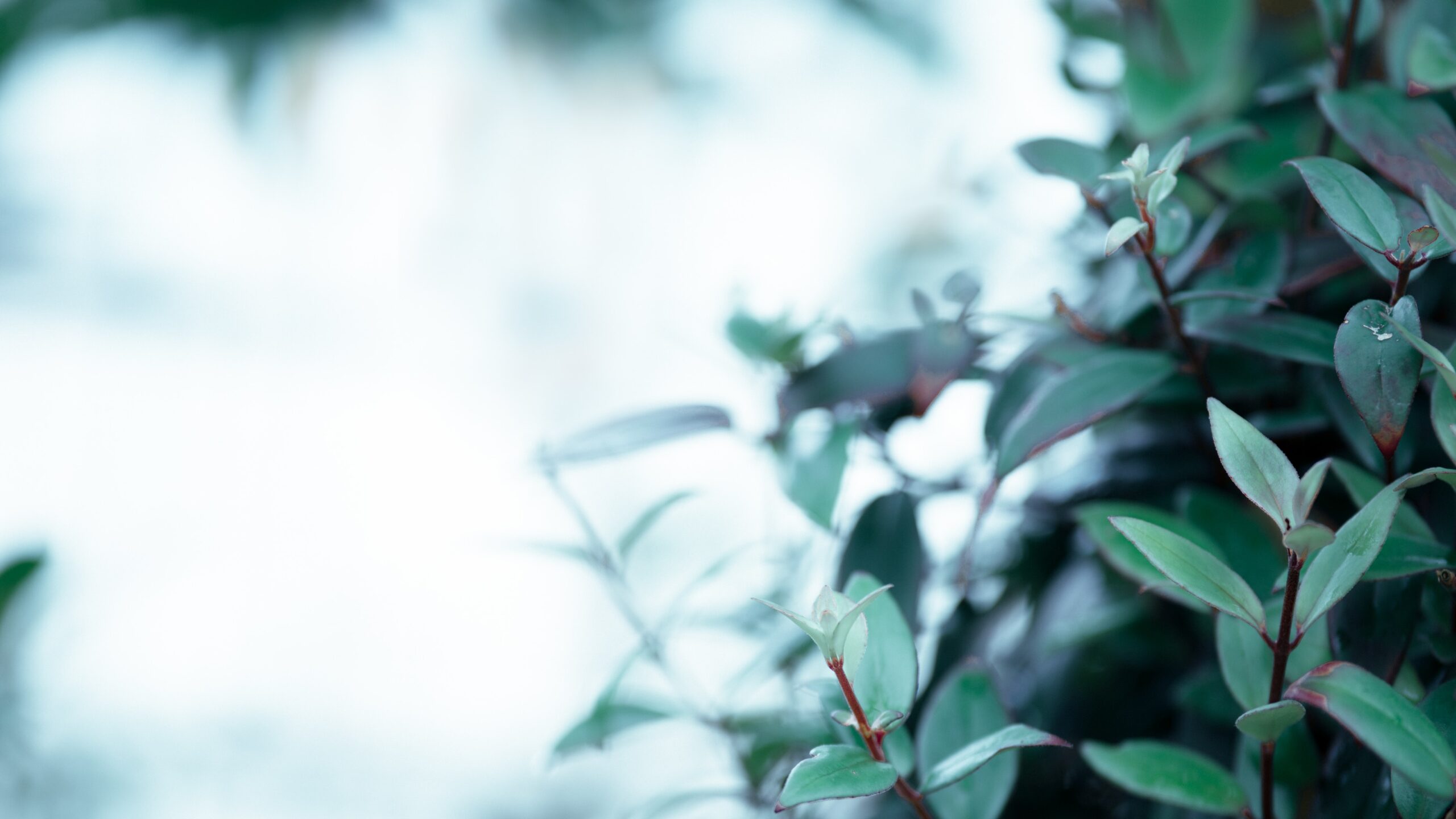 sostenibilità innovazioni, salva ambiente