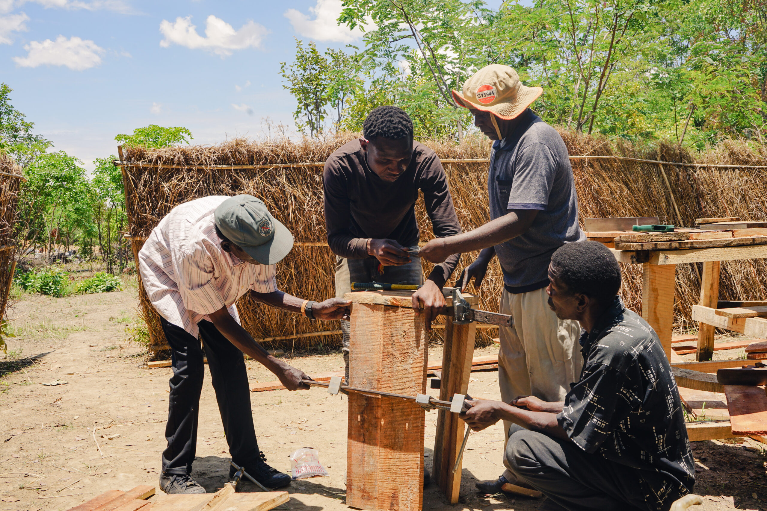 koalisation startup sostenibilità