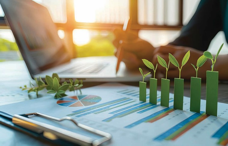 Sostenibilità e management