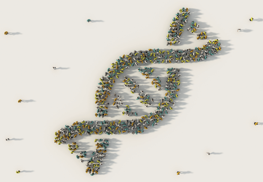 innovazione nelle organizzazioni