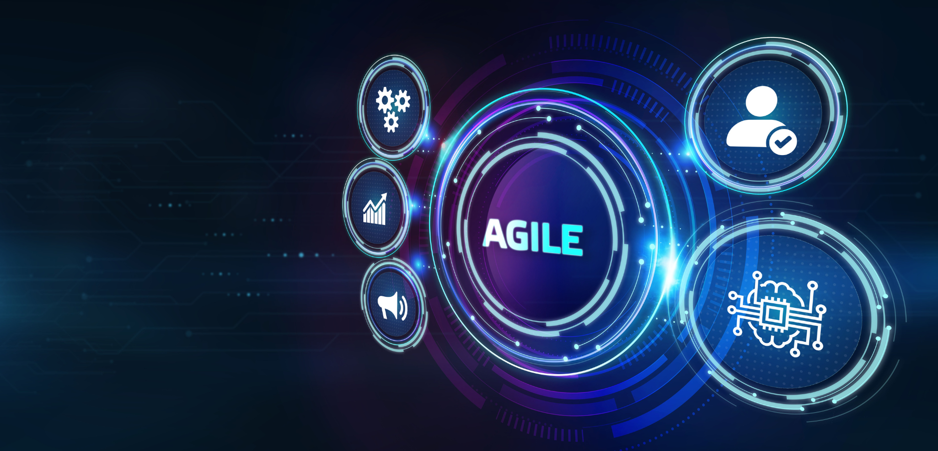 organizzazione agile